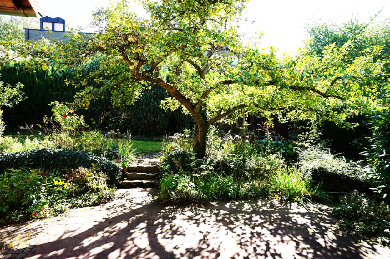 13-Blick von Terrasse EG in den Garten