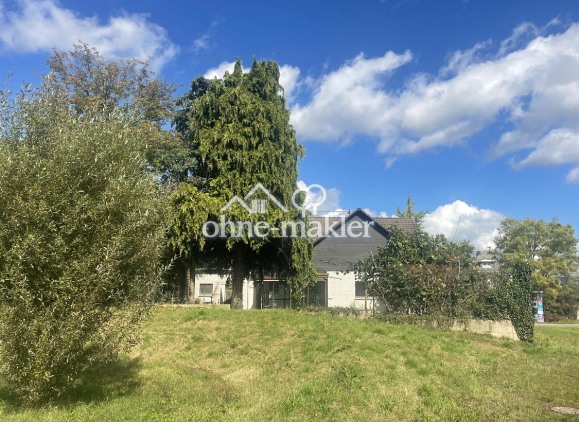 umgebende Grünflächen