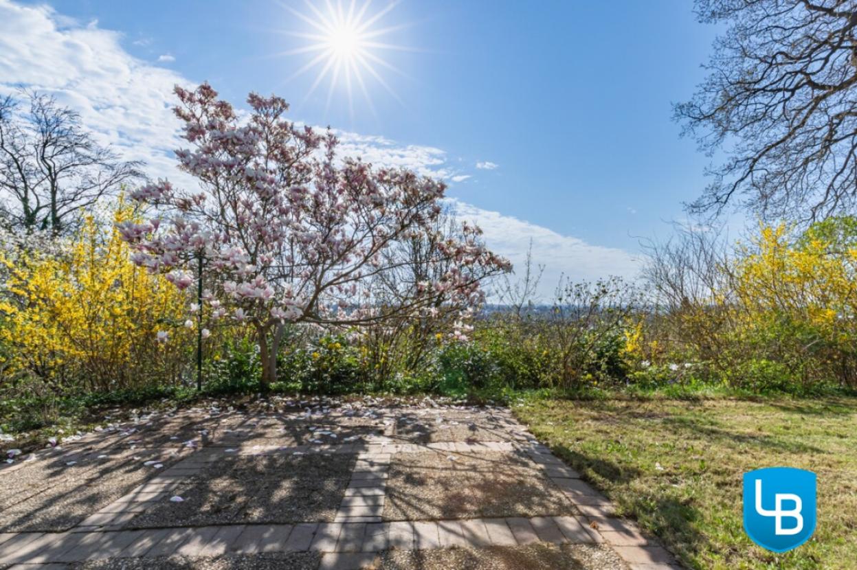...und Terrasse mit altem Baumbestand