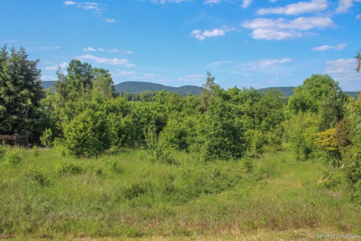 Fronansicht auf das Grundstück
