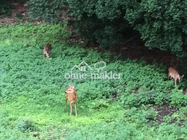 Parkähnliches Naturgrundstück