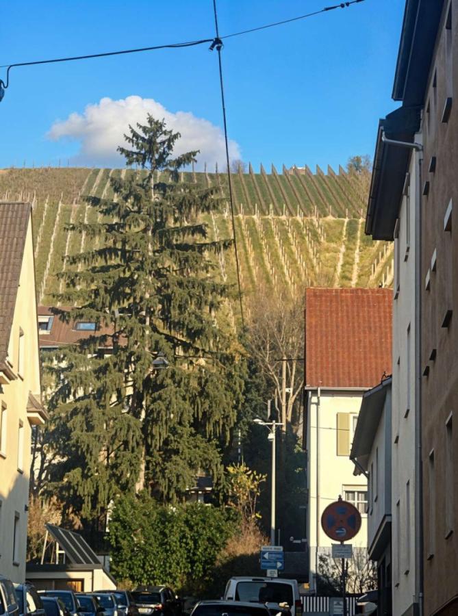 Weinberge