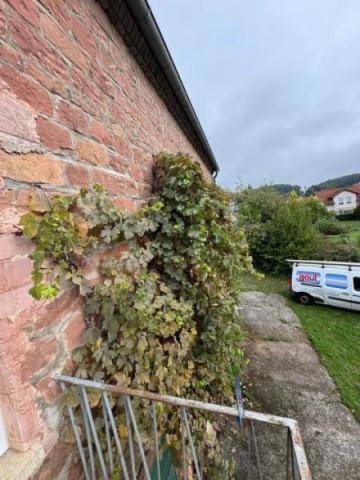 1 Rückseite Blick zum Hof