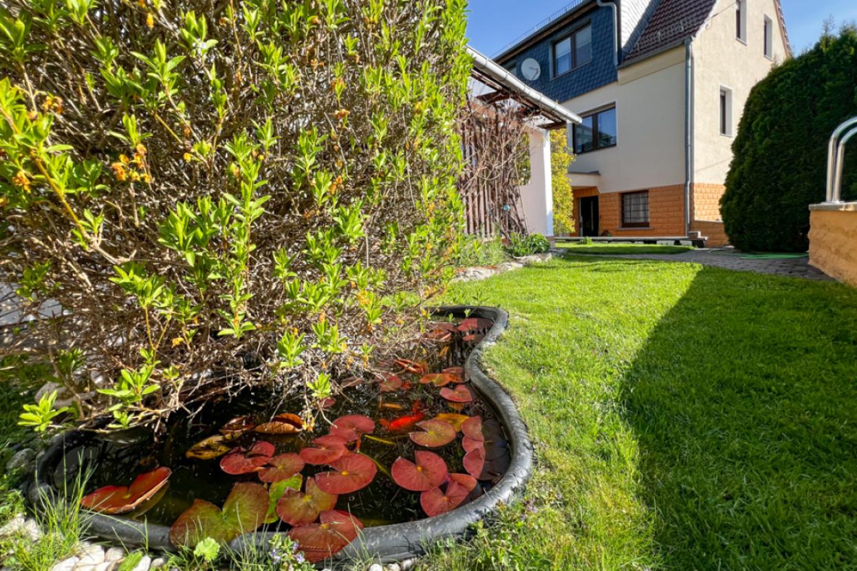 Kleiner Teich neben dem Pool