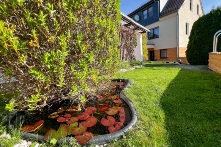 Kleiner Teich neben dem Pool