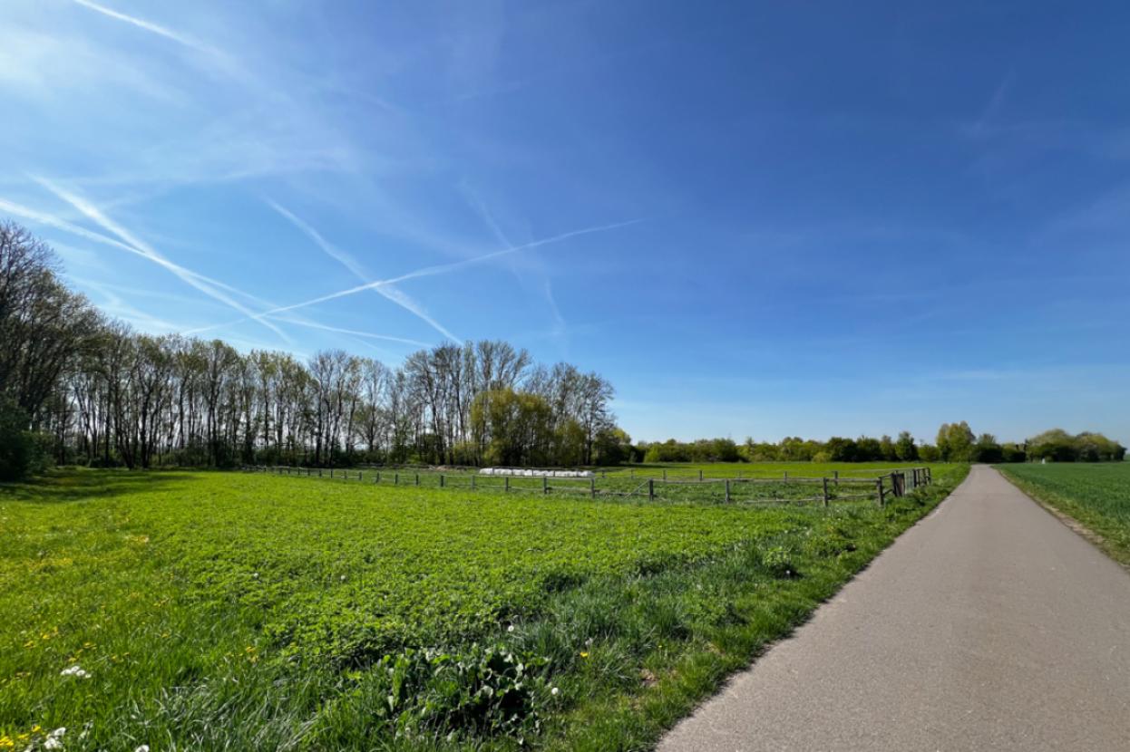 Großes Wiesengrundstück