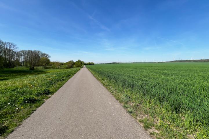 Fahrradweg nach Udestedt