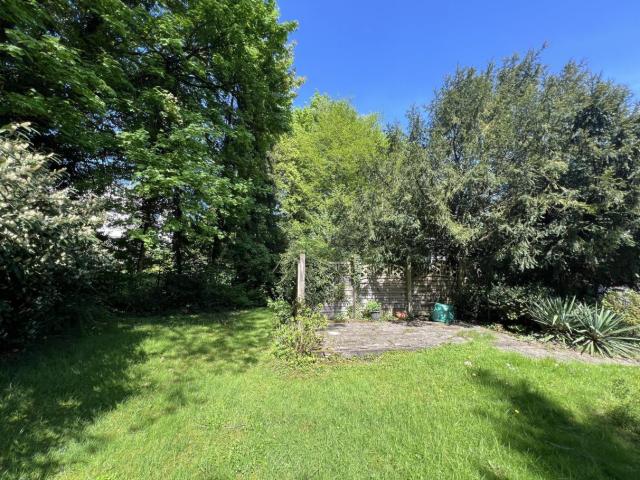 Garten mit Baumbestand