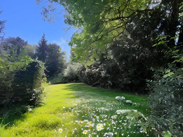 parkähnlicher Garten