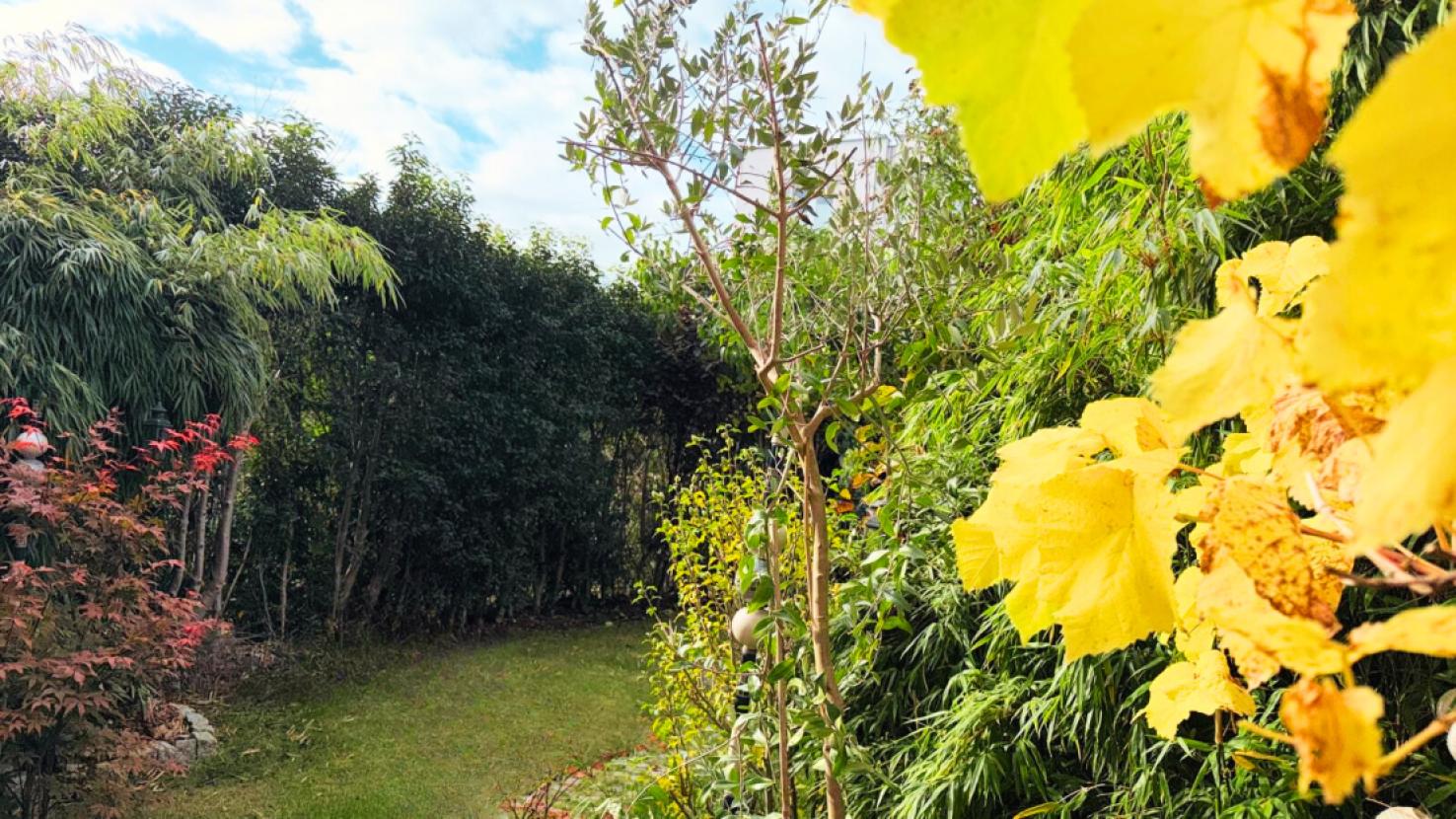 Hinterer Gartenbereich