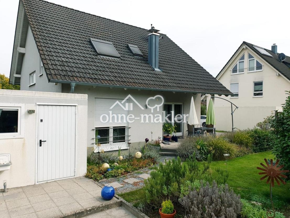 Rückseite Garten/Terrasse 