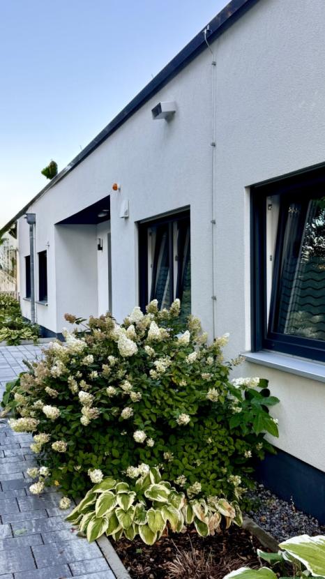 Gepflegter Eingangsbereich