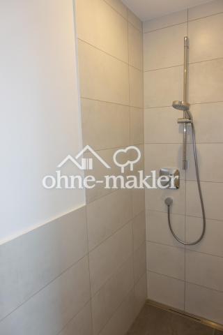 Gäste-WC mit Dusche EG