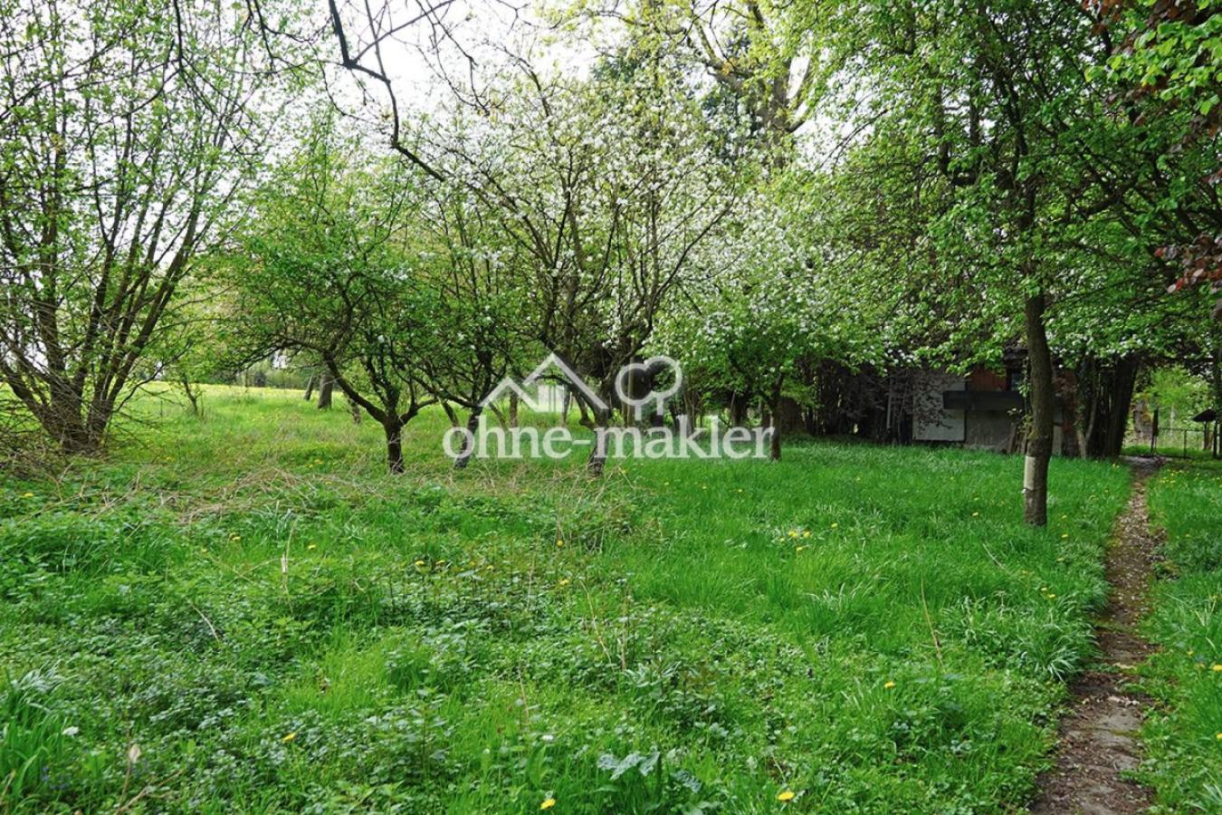 Wiese mit Bienenhaus