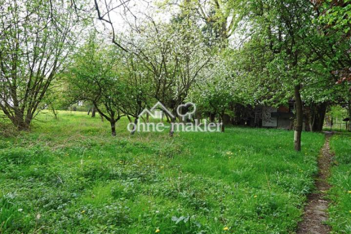 Wiese mit Bienenhaus