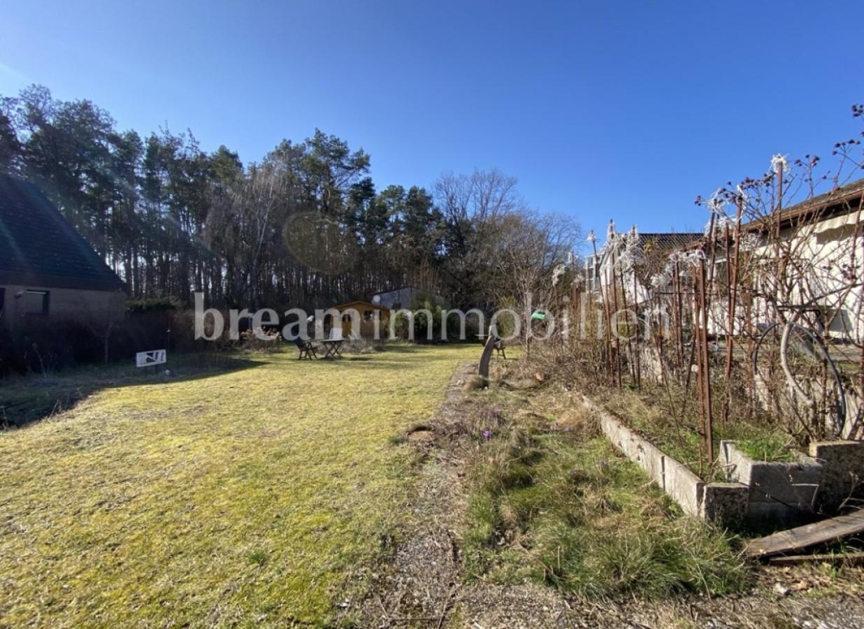 Blick auf den Dorfwald