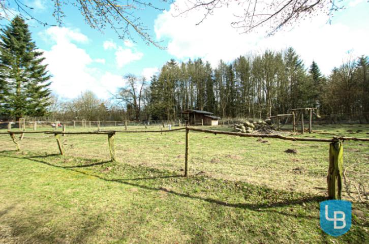 Parkähnliche Anlage