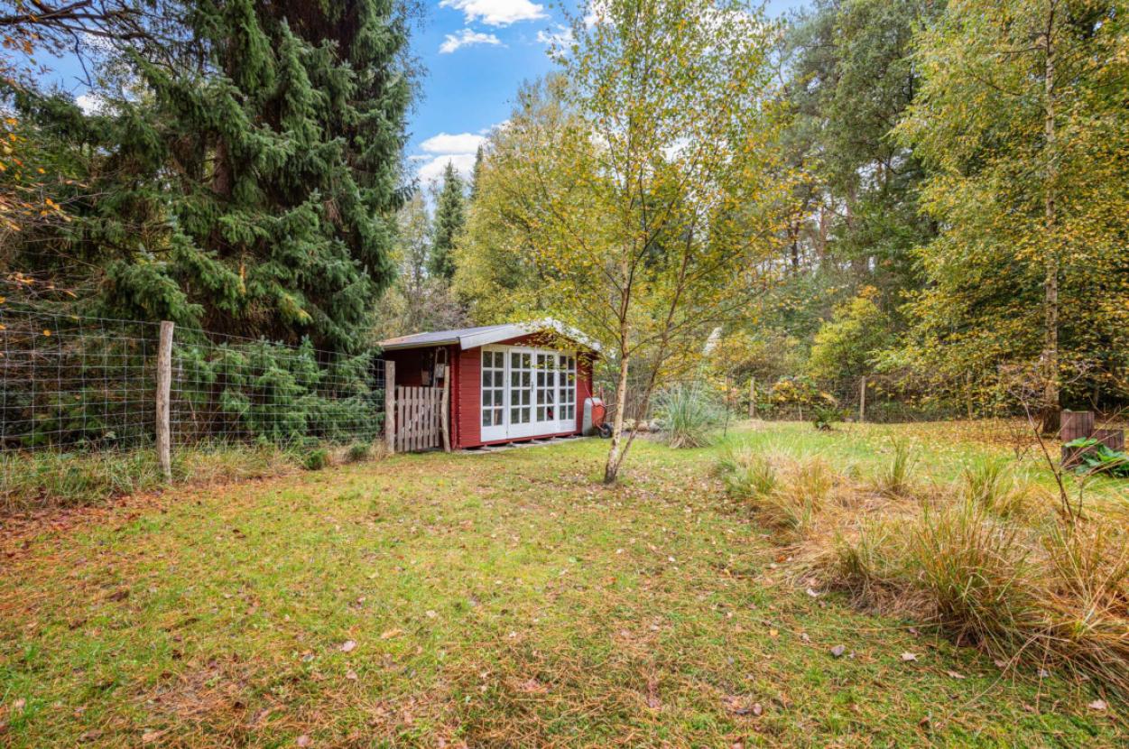 Garten und Gartenhaus