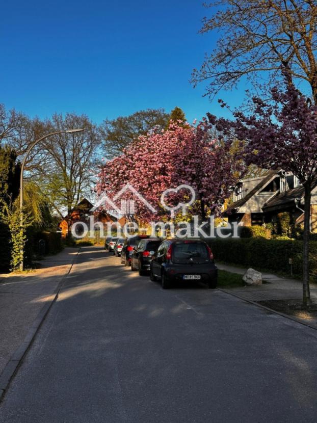 Wohnstraße im Frühling