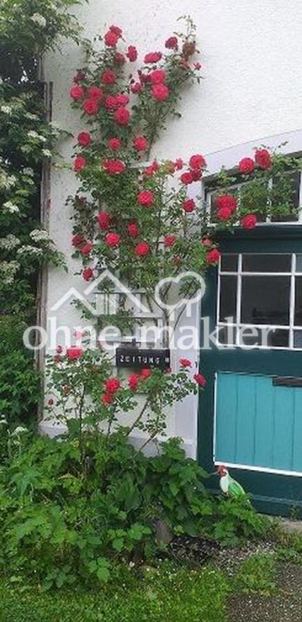 Rosengruß im Eingangsbereich