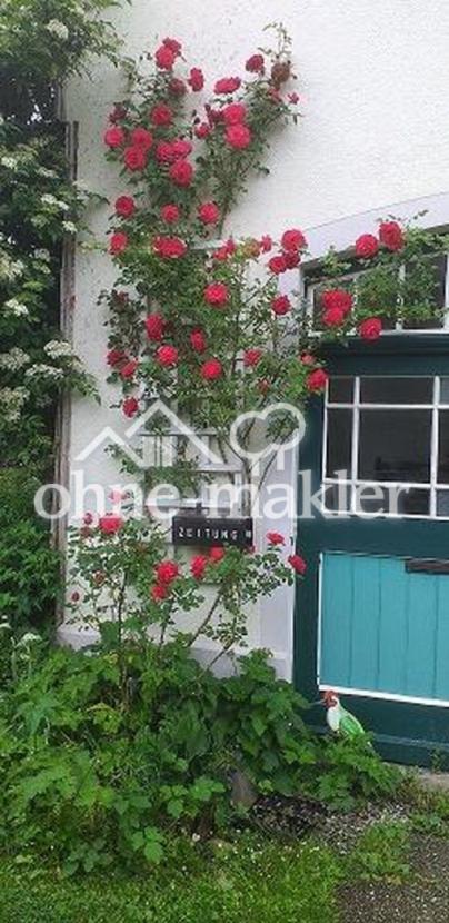 Rosengruß im Eingangsbereich