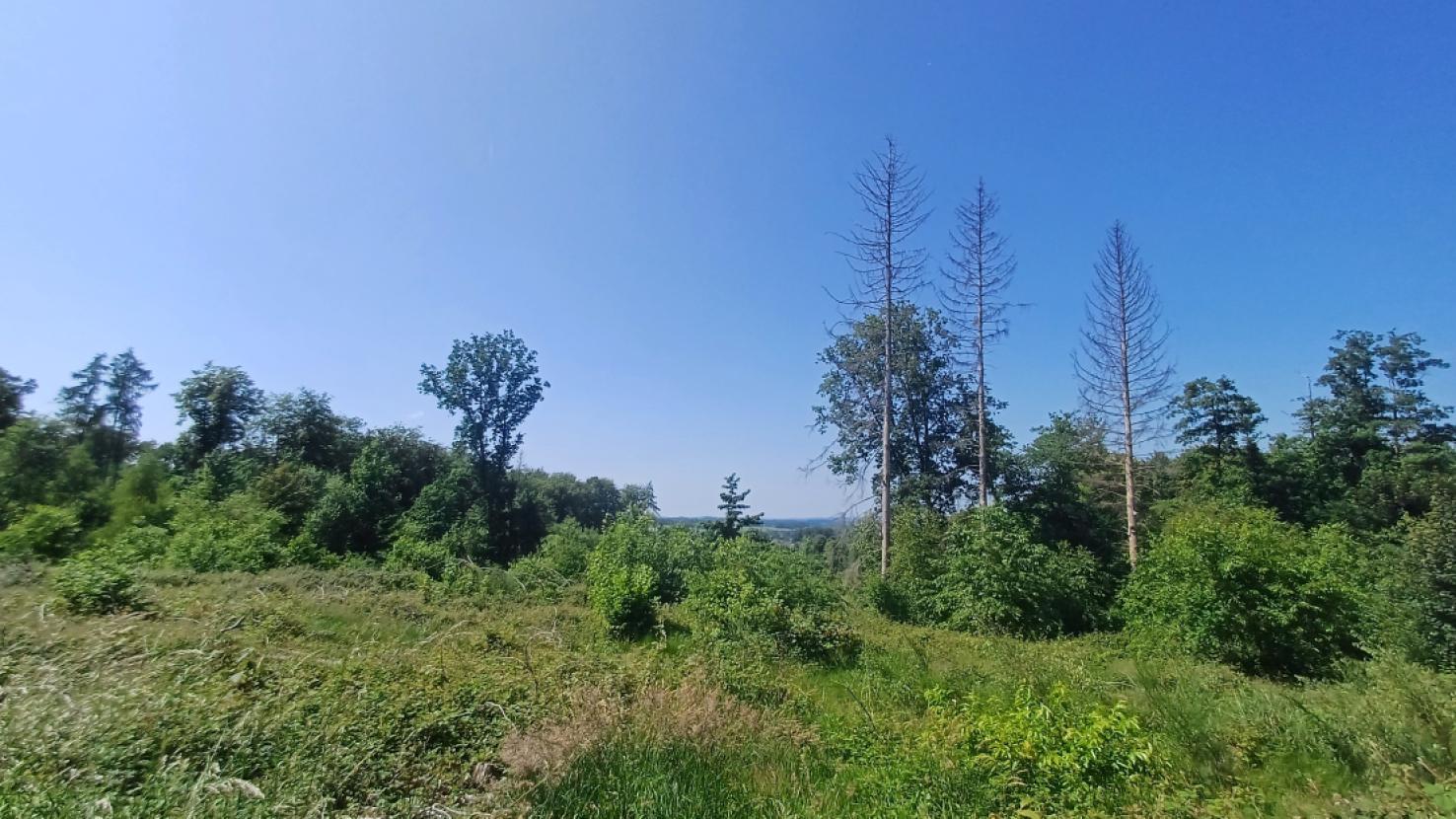 Blick vom Grundstück 