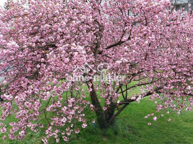 Blick aus dem Schlafzimmer1