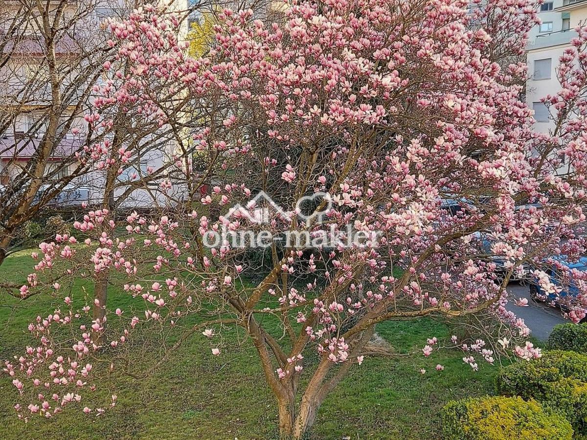 Blick aus der Küche