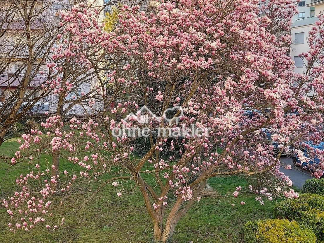 Blick aus der Küche