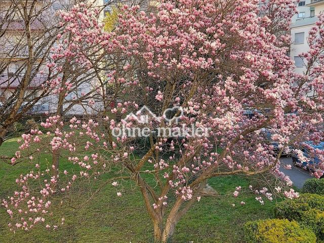 Blick aus der Küche