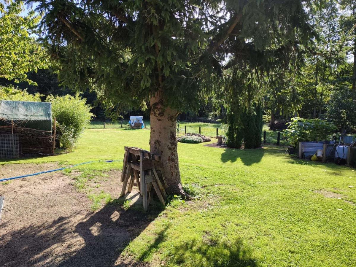 weiterer Teil des Gartens