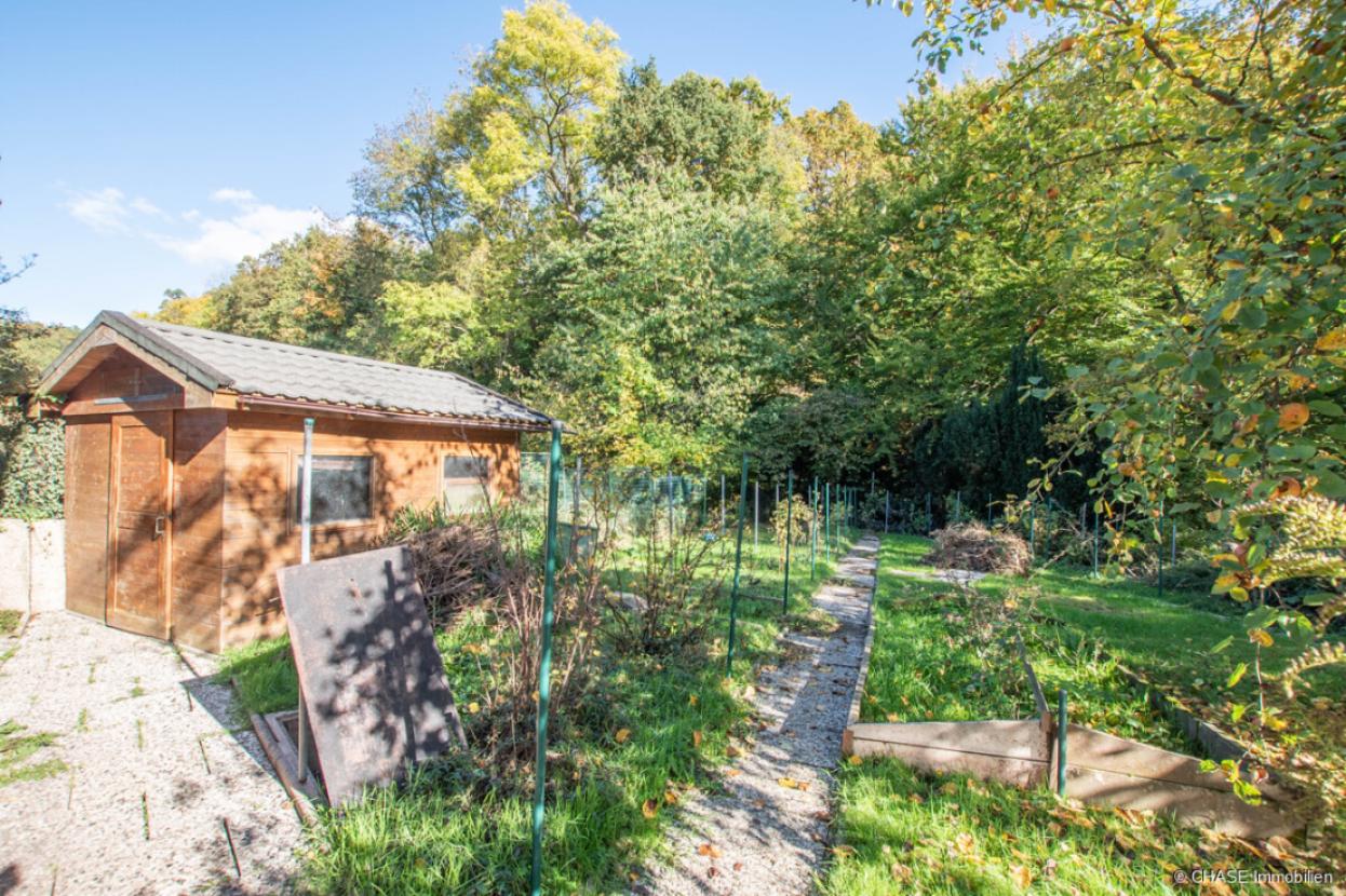 Gartenansicht und Gartenhütte