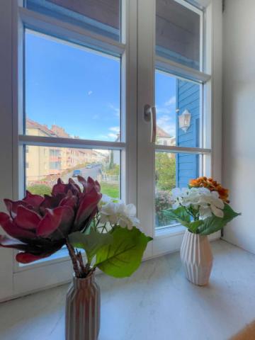 Detailfoto Küchenfenster