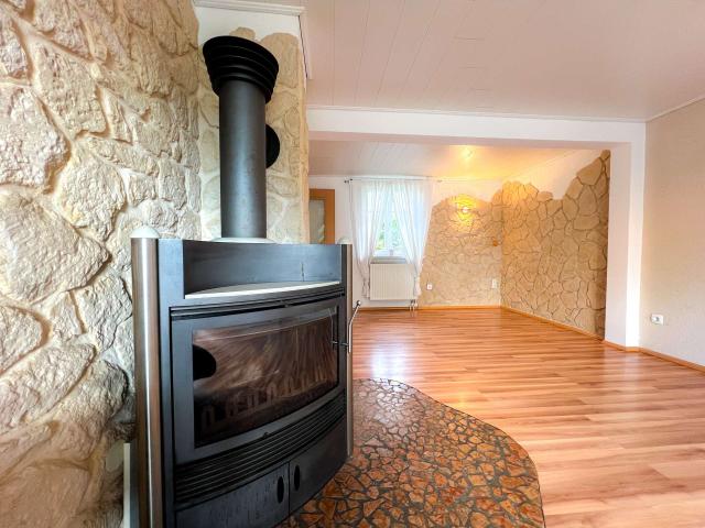 Detailfoto Wohnzimmer Kamin 