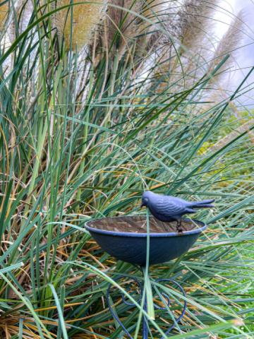 Außenbereich hinten Detailfoto