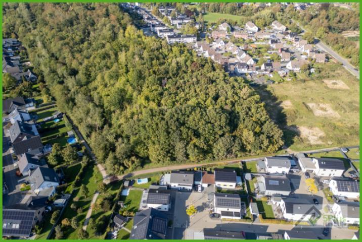 5Plus Immo Haus zum Kauf Inden/Altdorf Übersicht Wohngegend