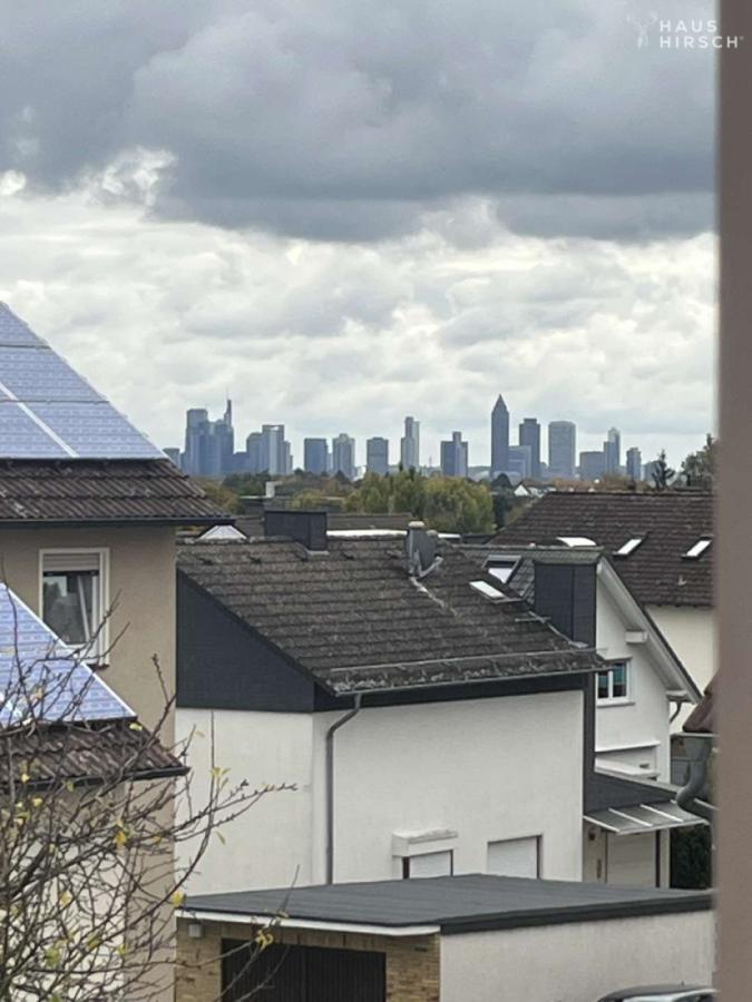 Skyline FFM _aus der eigenen Wohnung!