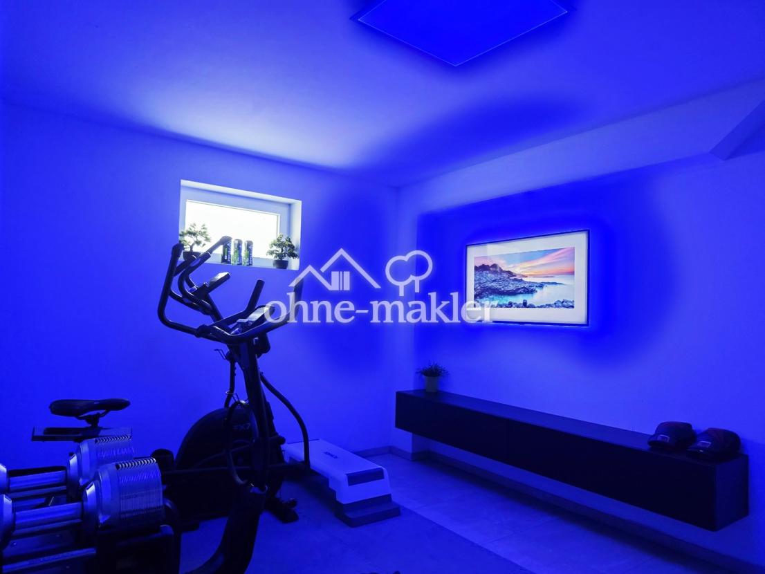 Gym / Fitnessraum 