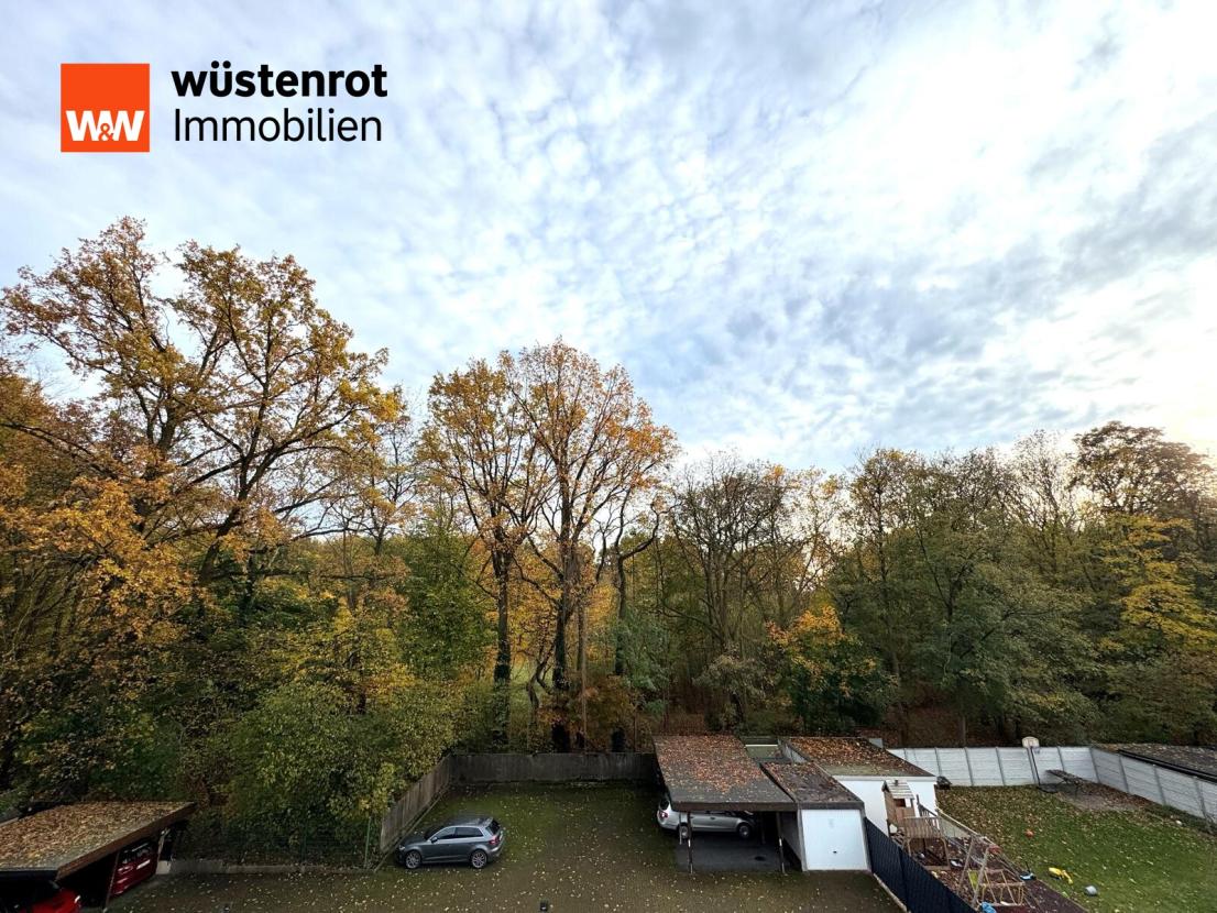 Ausblick hinter's Haus