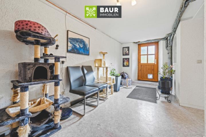 Hintereingang Bauernhaus