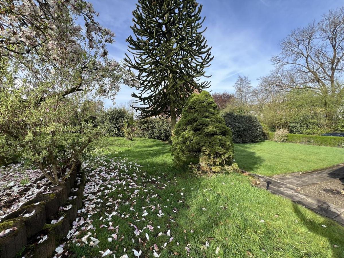 Grundschnitt Querschnitt