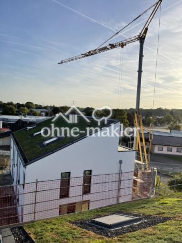 Ökologische Dachbegrünung