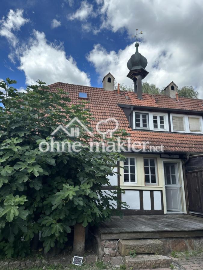 Haus Hinteransicht + Terrasse