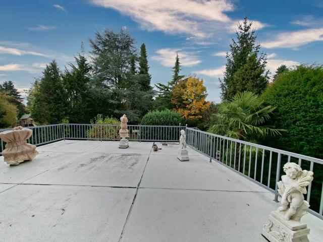 Terrasse mit Ausblick in den Garten und Sonnenmarkise