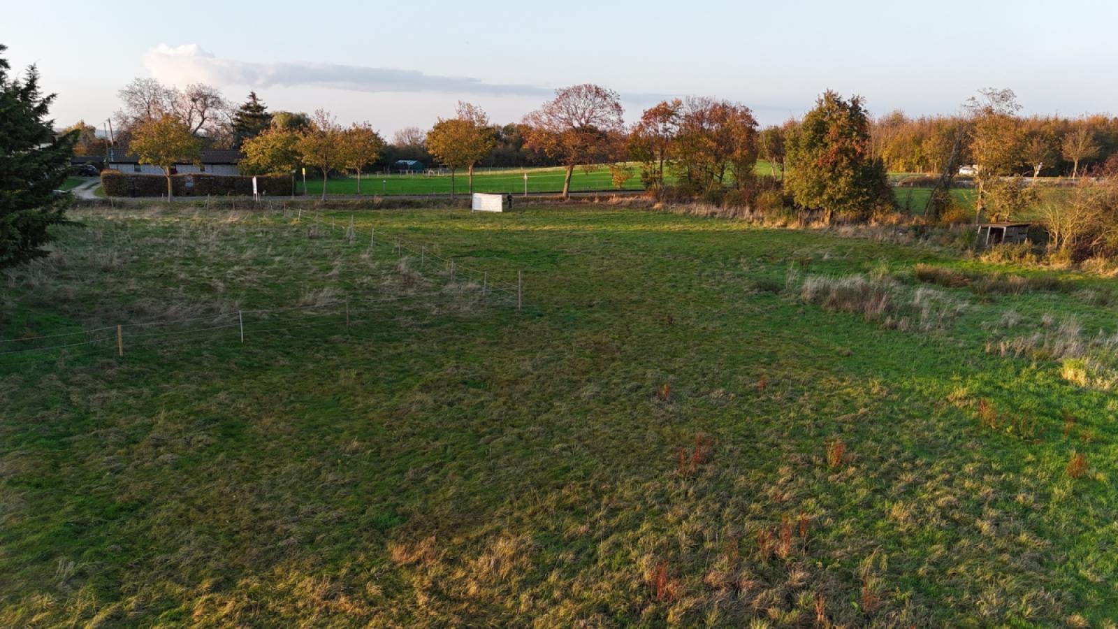 dji_fly_20241031_162552_0199_1730793454323_photo