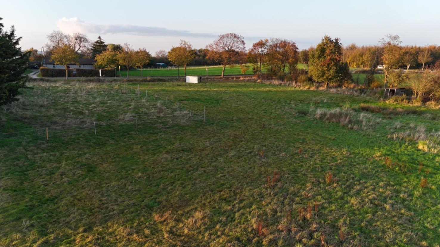 dji_fly_20241031_162552_0199_1730793454323_photo