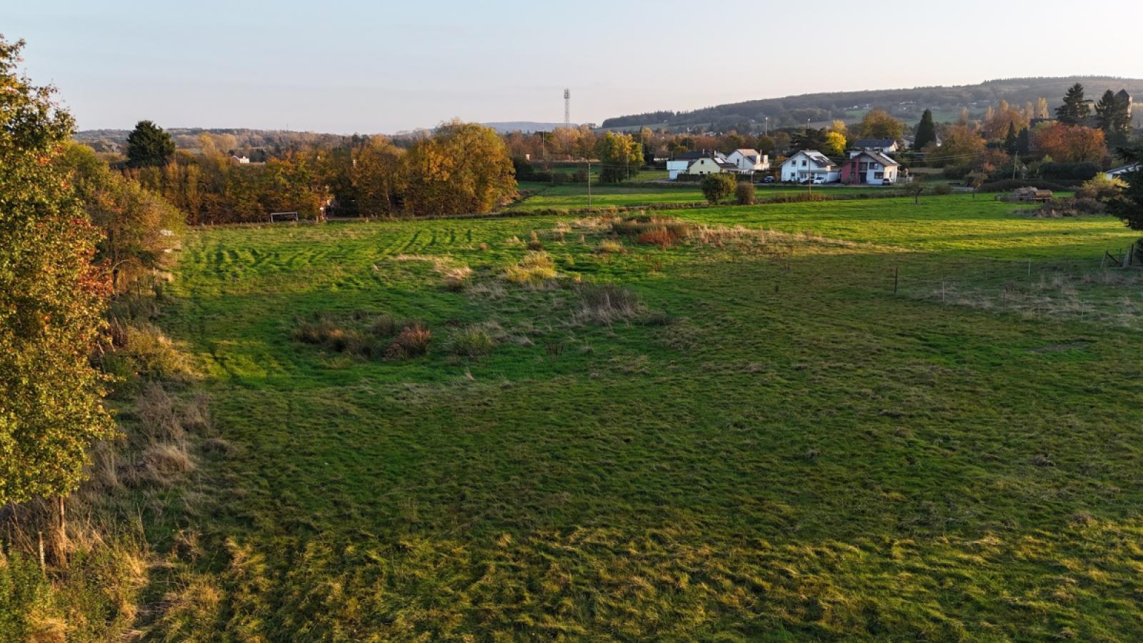 dji_fly_20241031_162640_0203_1730793447954_photo