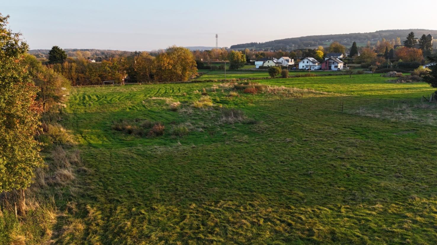 dji_fly_20241031_162640_0203_1730793447954_photo