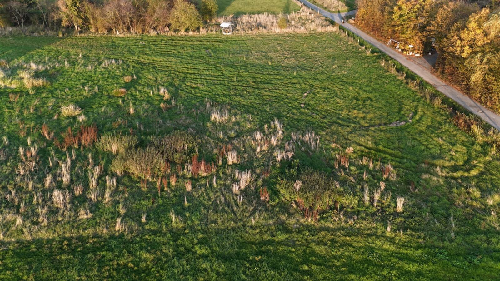 dji_fly_20241031_162032_0175_1730793507517_photo