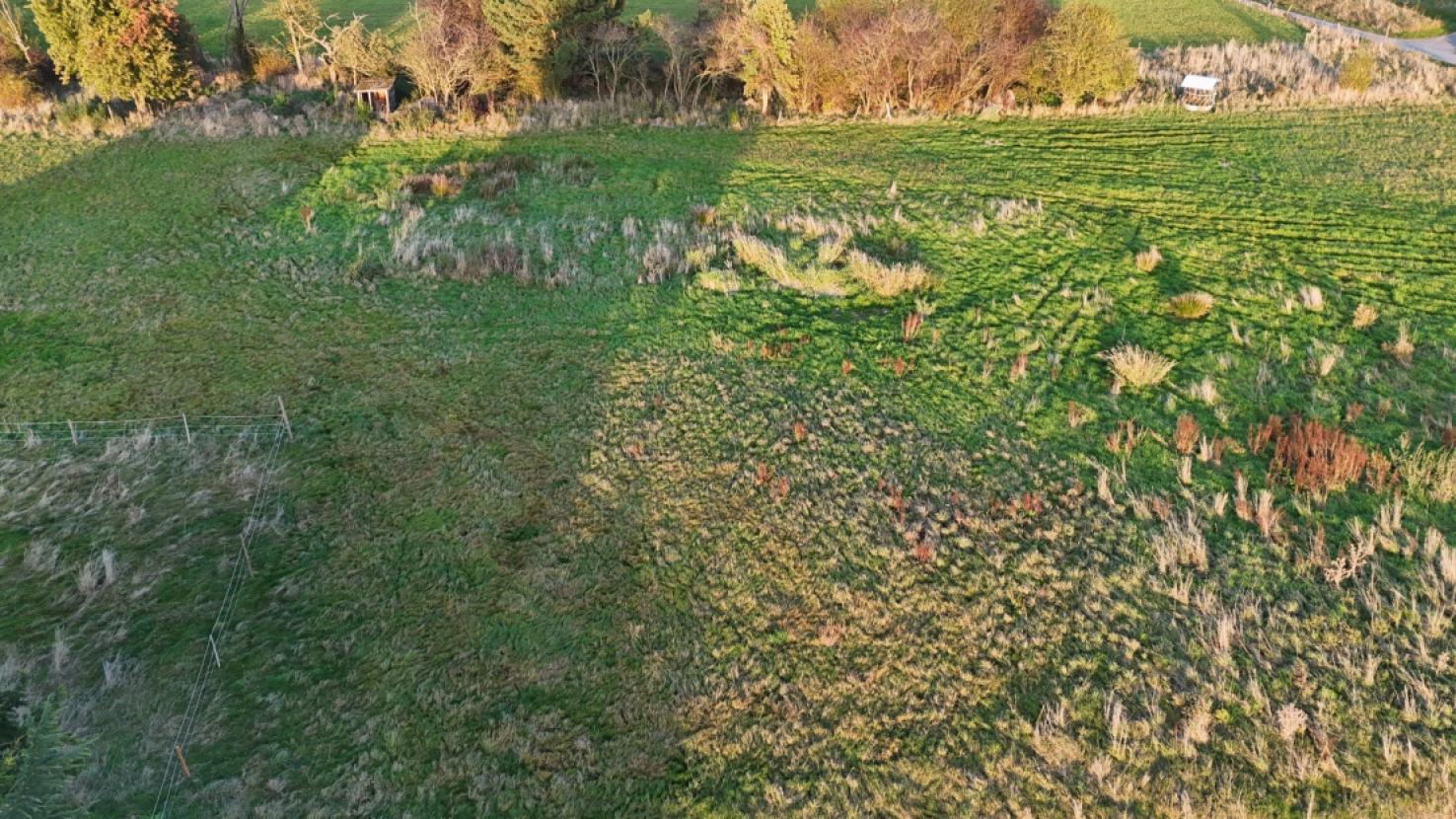 dji_fly_20241031_162106_0179_1730793476308_photo